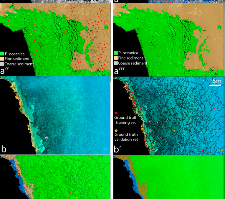 Mappatura ad altissima risoluzione di Posidonia Oceanica