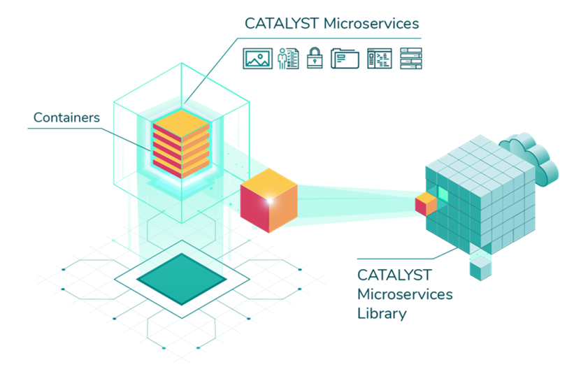 Webinar Catalyst –  Microservices