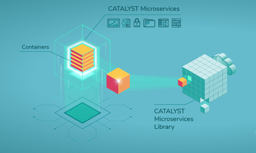 Catalyst Microservices