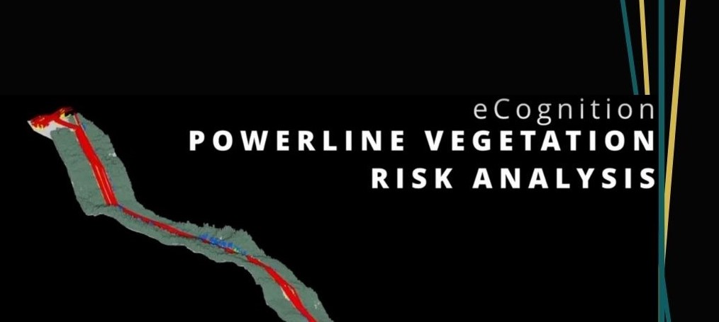 3D Powerline Vegetation Risk Analysis