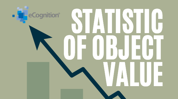 eCognition: Statistic of object value